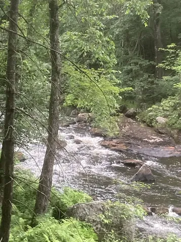 18 Birdie Grove Rochester NH 03839