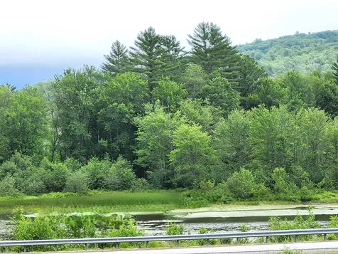 17 Overlook Road Campton NH 03223