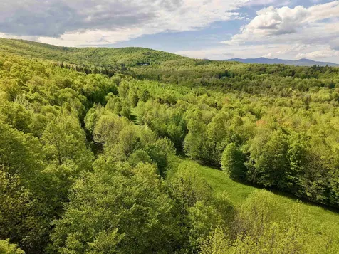 000 Rabbit Run Fayston VT 05673