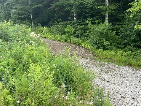 Juniper Hill Road Stoddard NH 03464