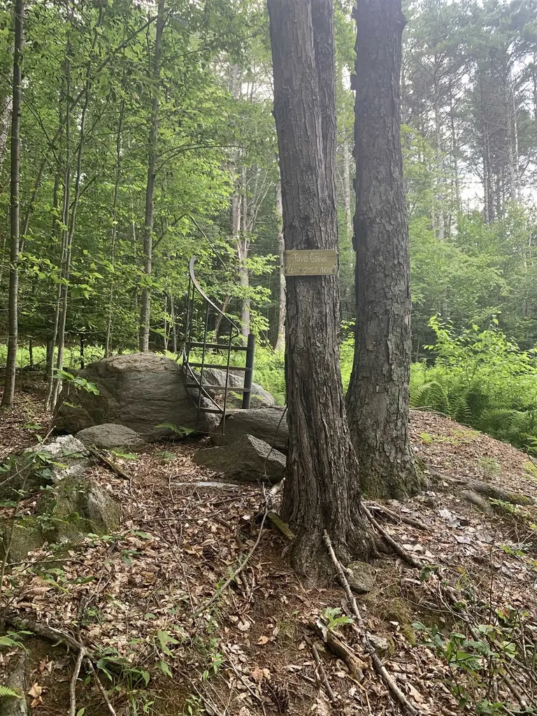 Lot 2 Wellington Hill Road W Westminster VT 05346