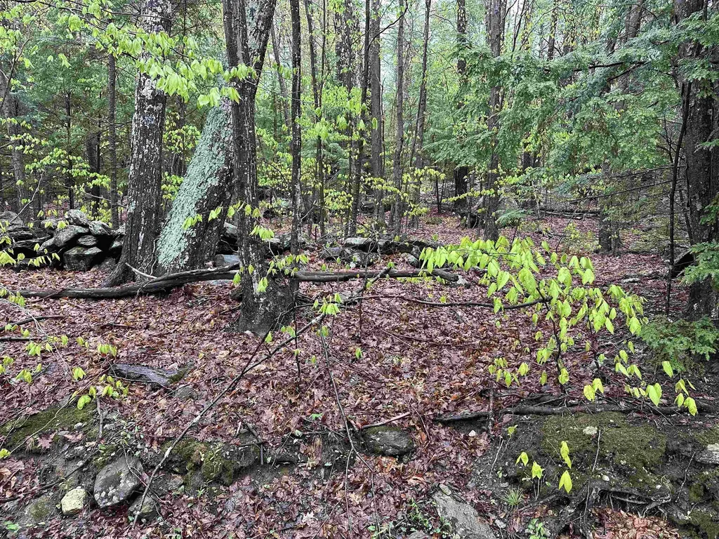 Lot 2 Wellington Hill Road W Westminster VT 05346