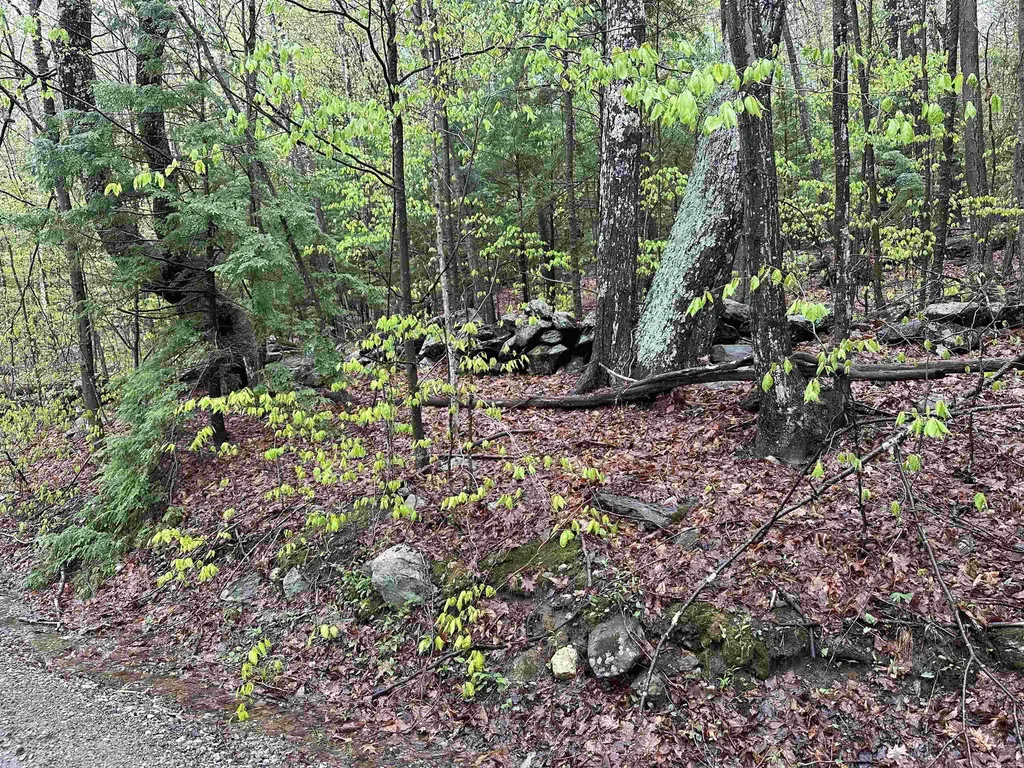Lot 2 Wellington Hill Road W Westminster VT 05346
