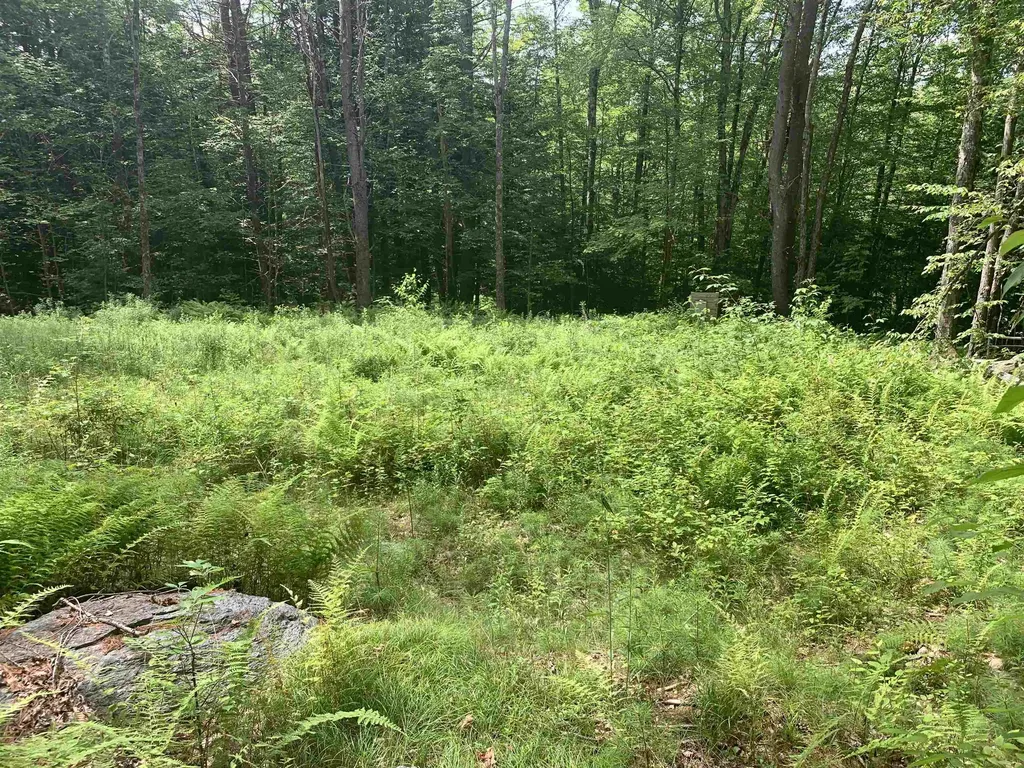 Lot 2 Wellington Hill Road W Westminster VT 05346