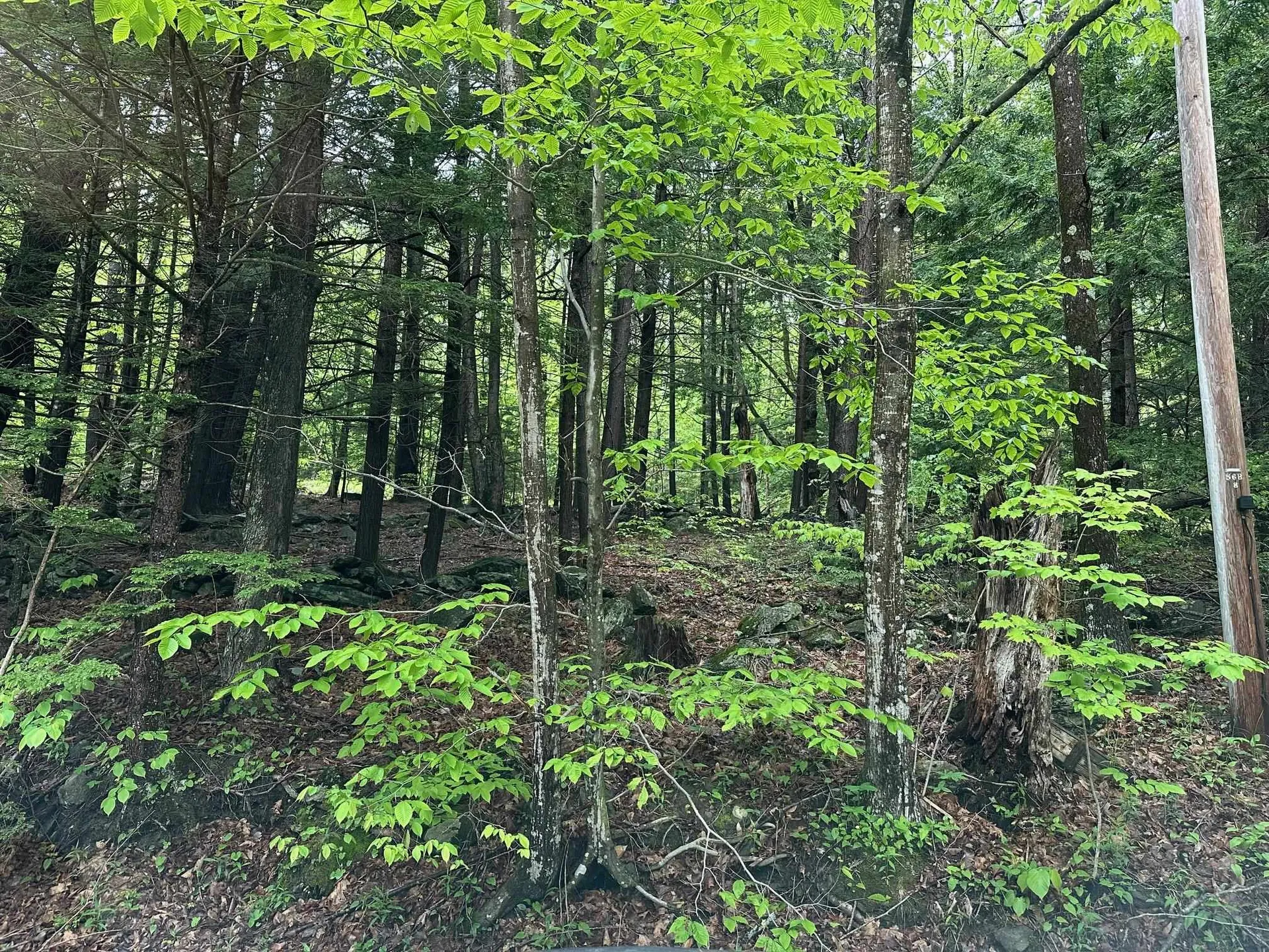 Lot 2 Wellington Hill Road W Westminster VT 05346