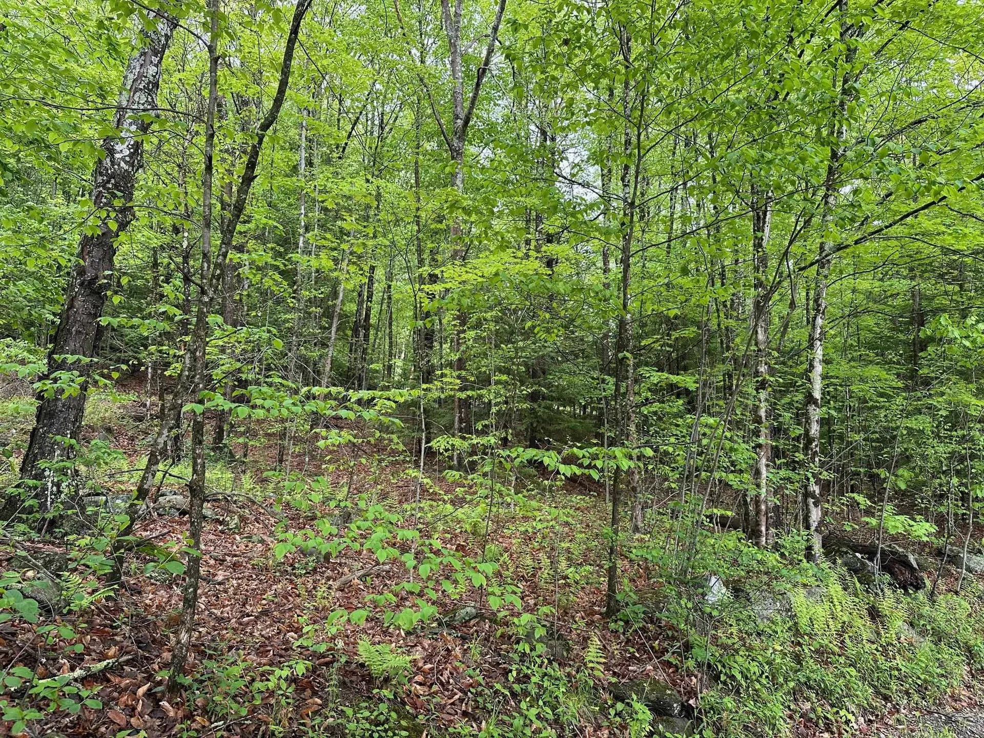 Lot 2 Wellington Hill Road W Westminster VT 05346