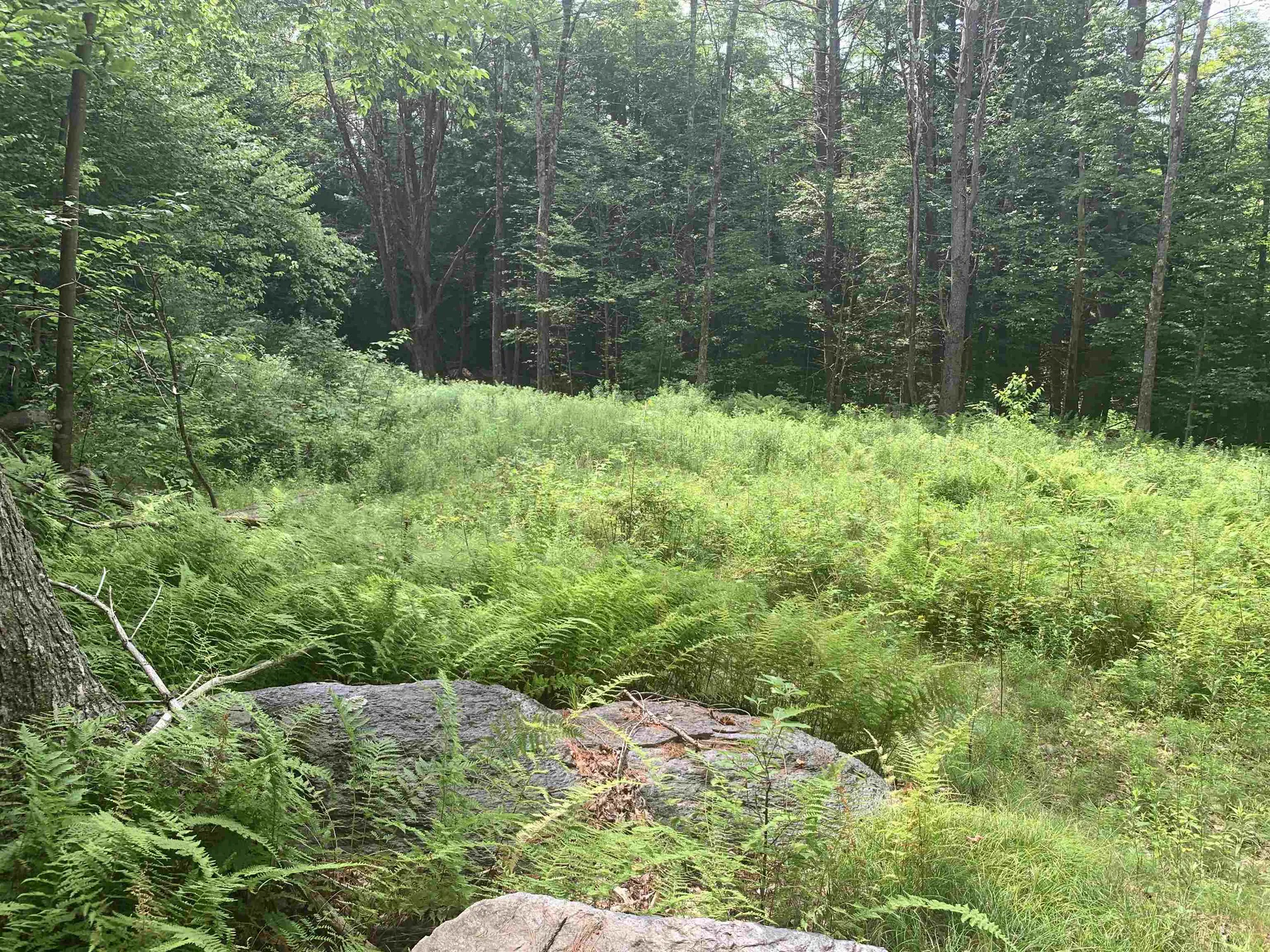 Lot 2 Wellington Hill Road W Westminster VT 05346