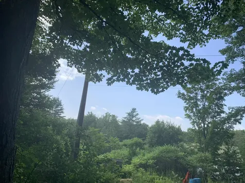 Lot 2 Wellington Hill Road W Westminster VT 05346