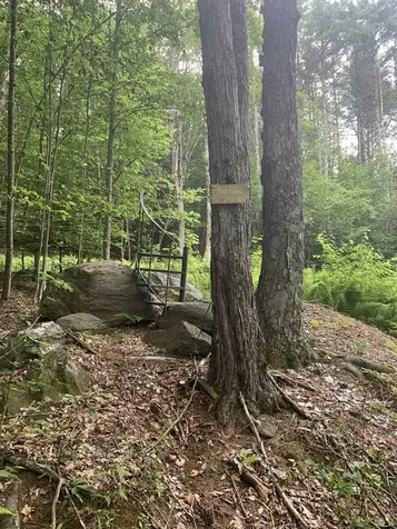 Lot 2 Wellington Hill Road W Westminster VT 05346