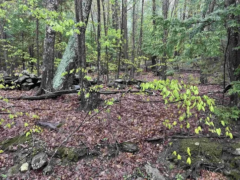 Lot 2 Wellington Hill Road W Westminster VT 05346