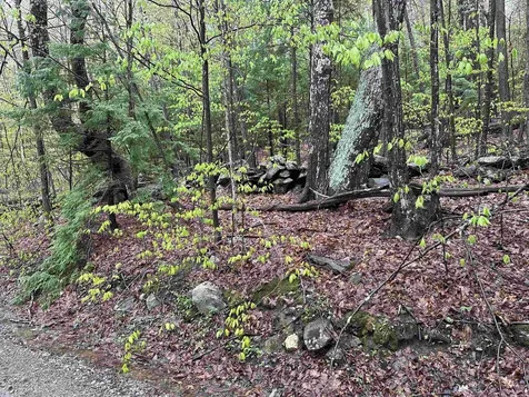 Lot 2 Wellington Hill Road W Westminster VT 05346
