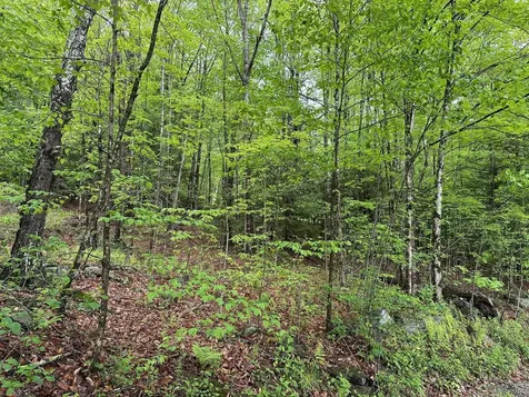 Lot 2 Wellington Hill Road W Westminster VT 05346