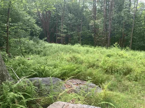 Lot 2 Wellington Hill Road W Westminster VT 05346
