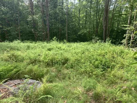 Lot 2 Wellington Hill Road W Westminster VT 05346