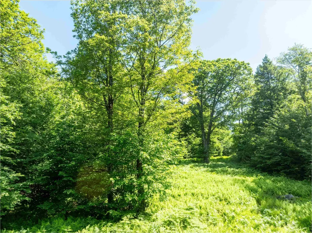 00 Turtle Hill Road Ludlow VT 05149