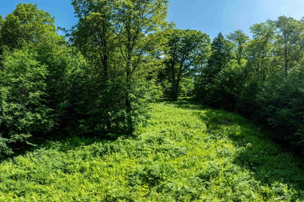 00 Turtle Hill Road Ludlow VT 05149