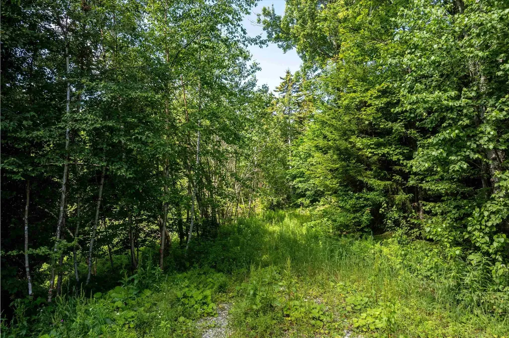 00 Turtle Hill Road Ludlow VT 05149