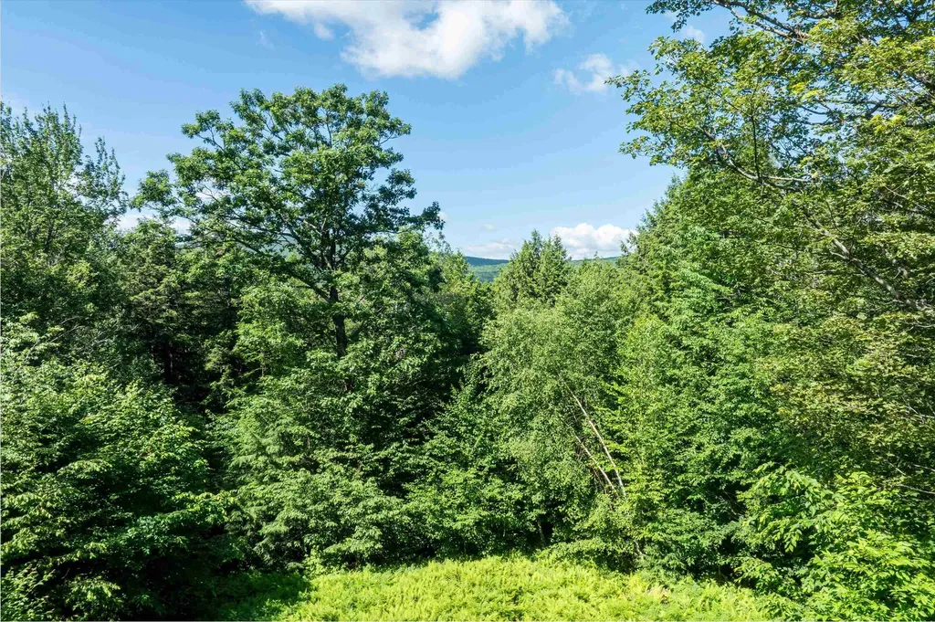 00 Turtle Hill Road Ludlow VT 05149