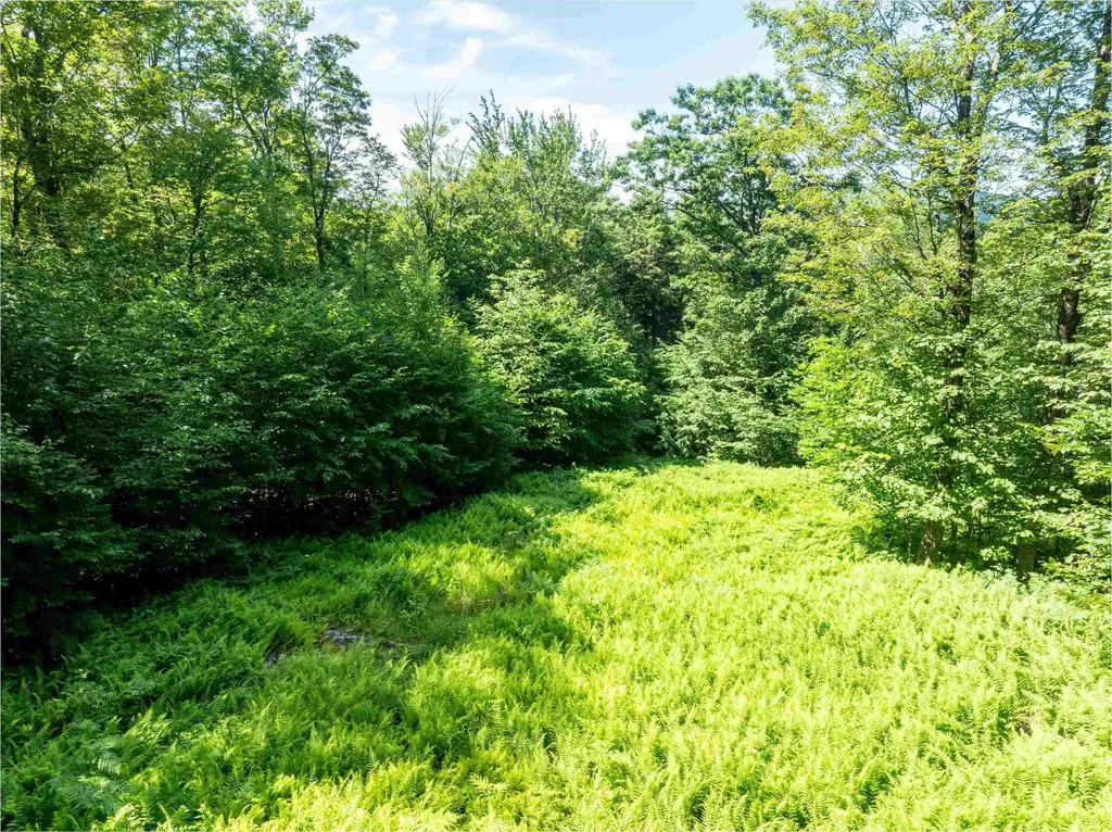 00 Turtle Hill Road Ludlow VT 05149