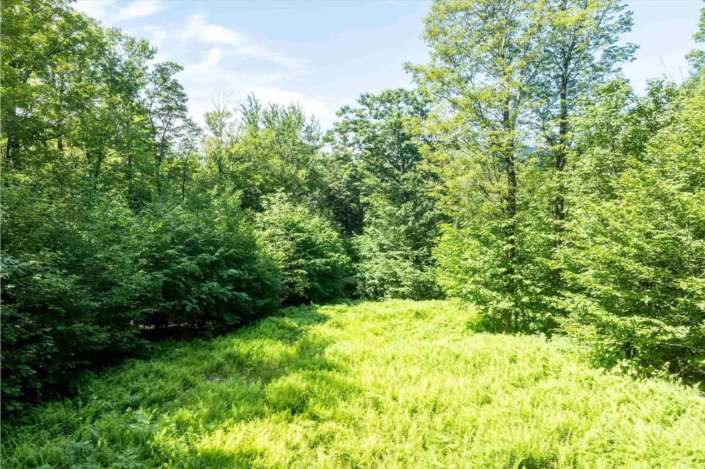 00 Turtle Hill Road Ludlow VT 05149