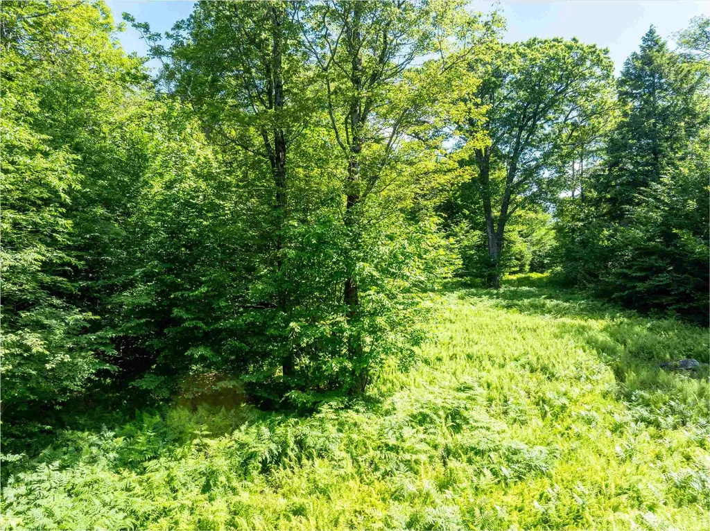 00 Turtle Hill Road Ludlow VT 05149