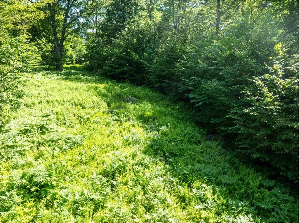 00 Turtle Hill Road Ludlow VT 05149