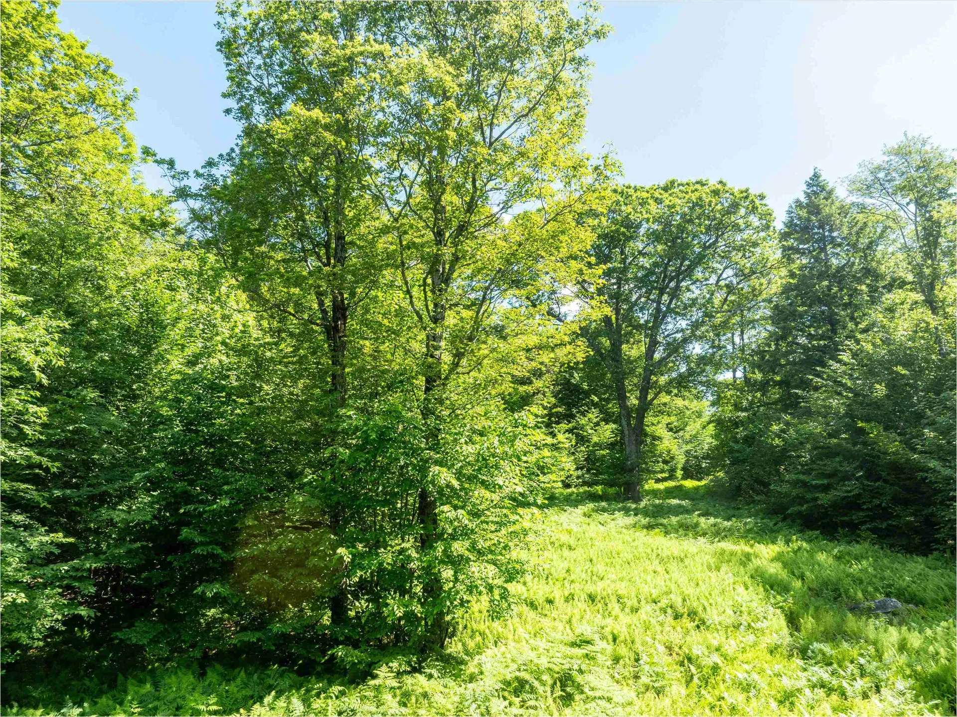 00 Turtle Hill Road Ludlow VT 05149