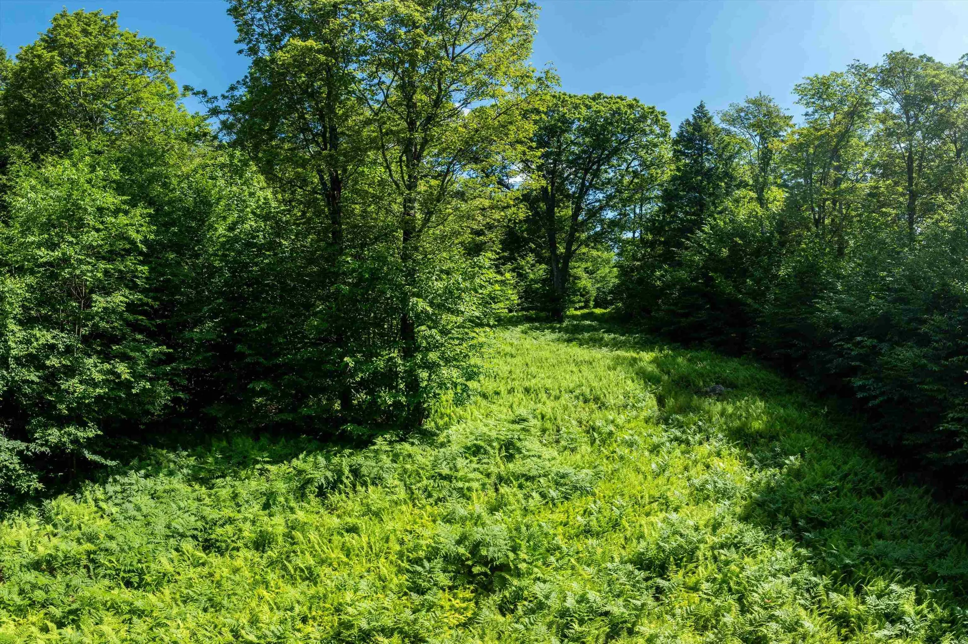 00 Turtle Hill Road Ludlow VT 05149