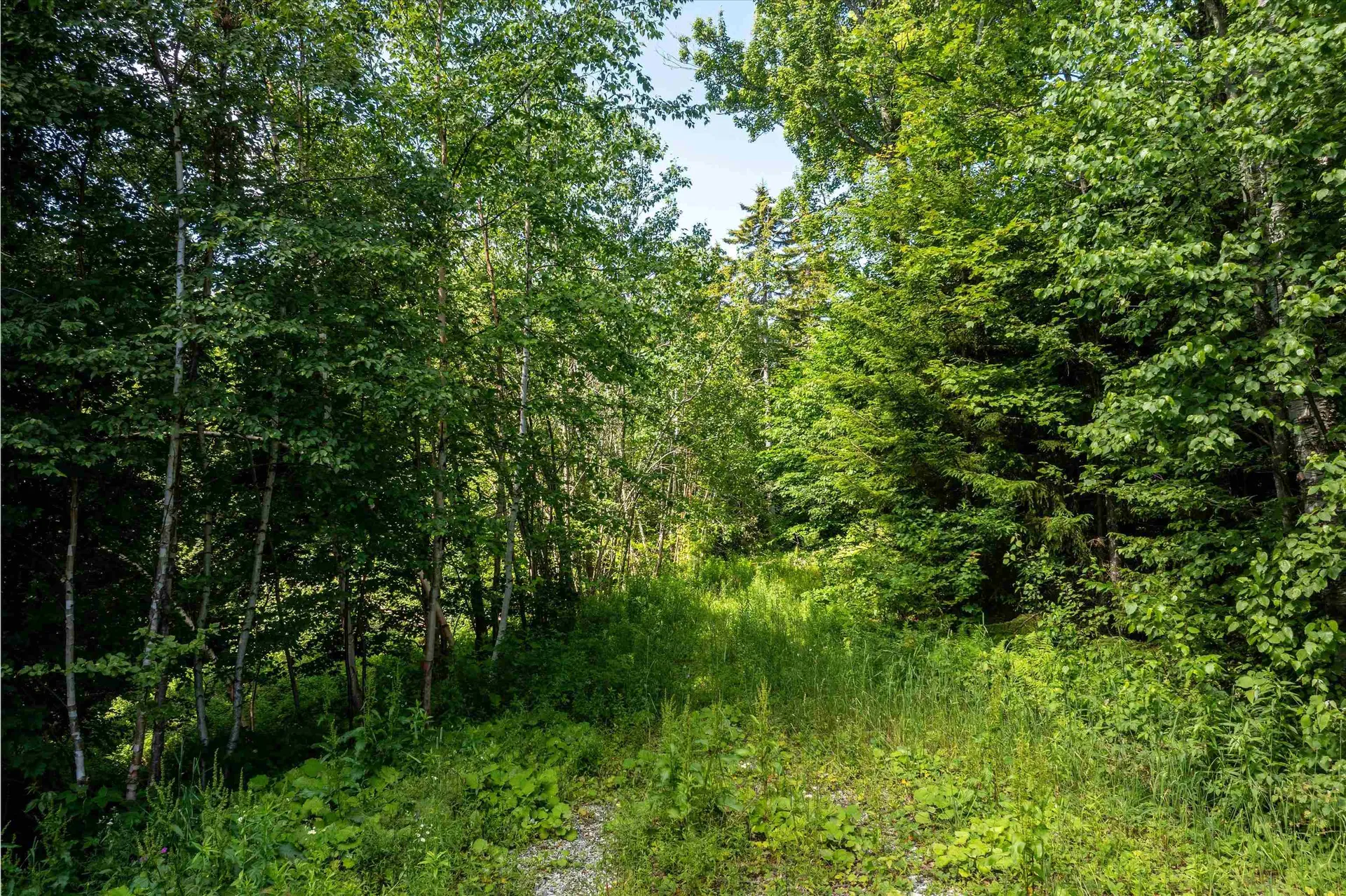 00 Turtle Hill Road Ludlow VT 05149