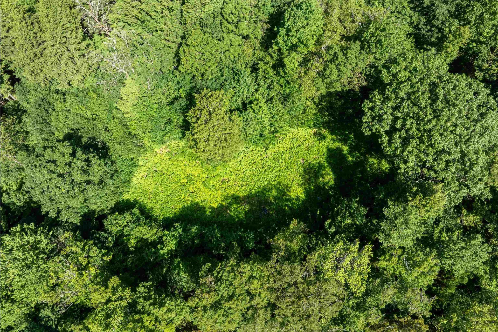 00 Turtle Hill Road Ludlow VT 05149