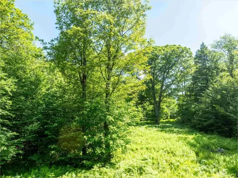 00 Turtle Hill Road Ludlow VT 05149