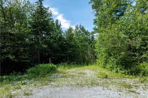 00 Turtle Hill Road Ludlow VT 05149
