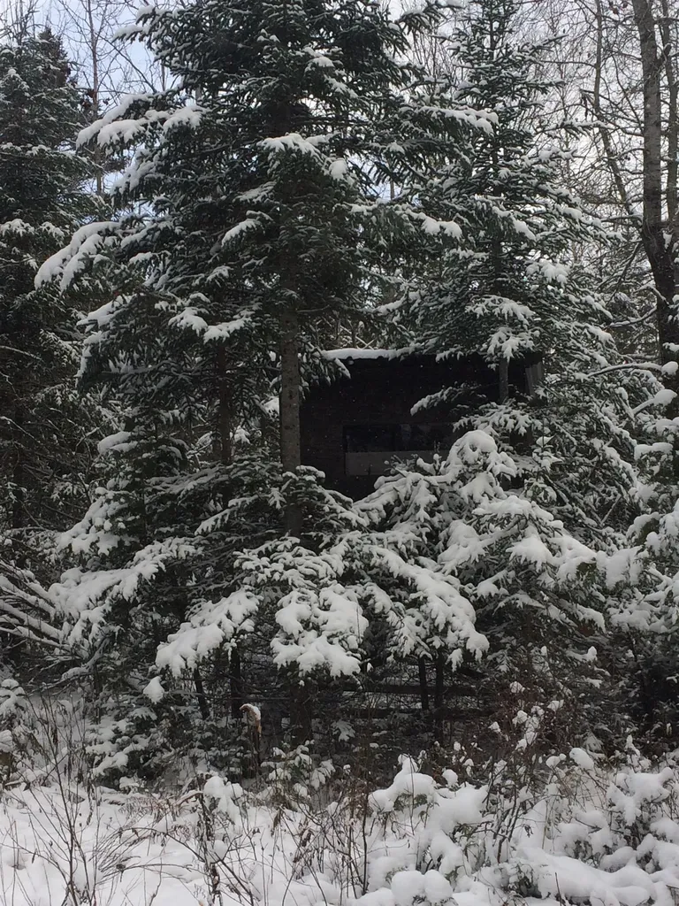 241 South Albany Road Albany VT 05820