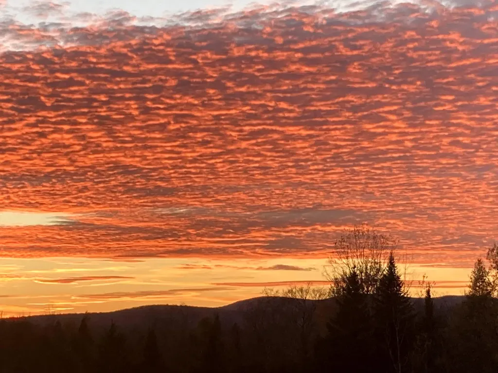 241 South Albany Road Albany VT 05820