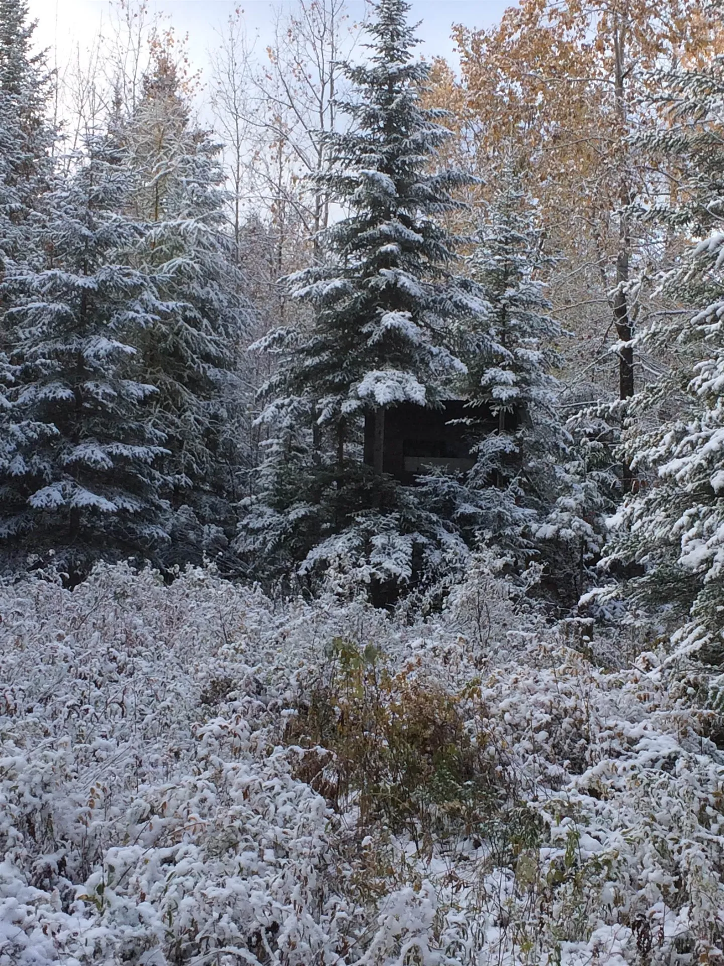 241 South Albany Road Albany VT 05820