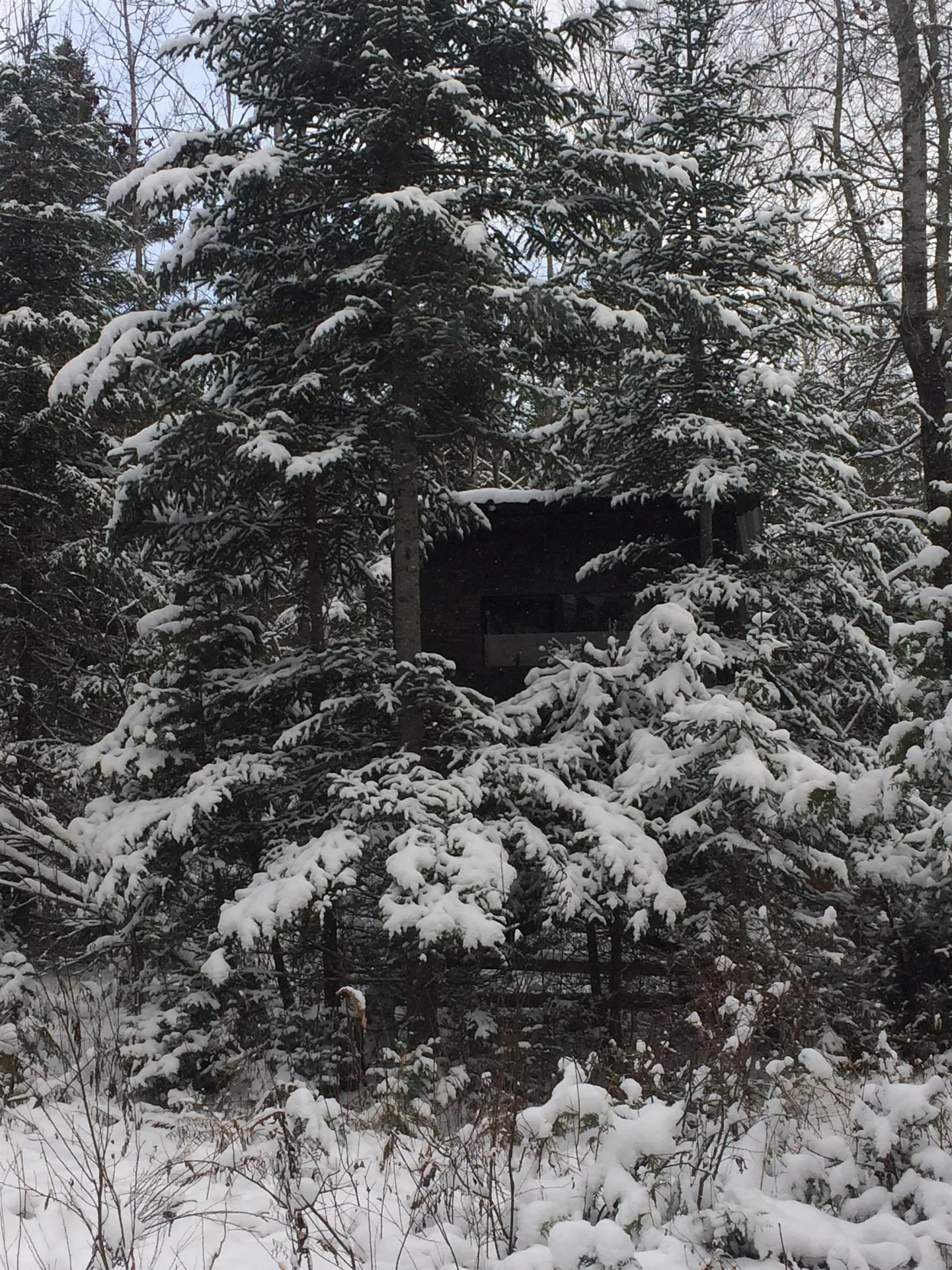 241 South Albany Road Albany VT 05820