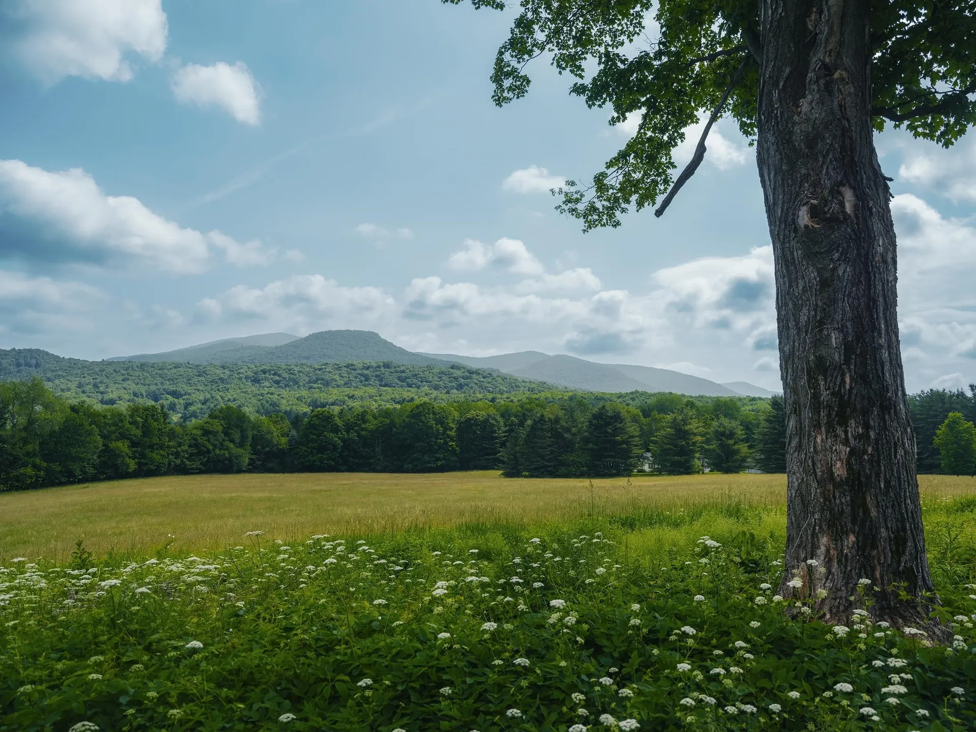 5491 Vt Route 315 Rupert VT 05776