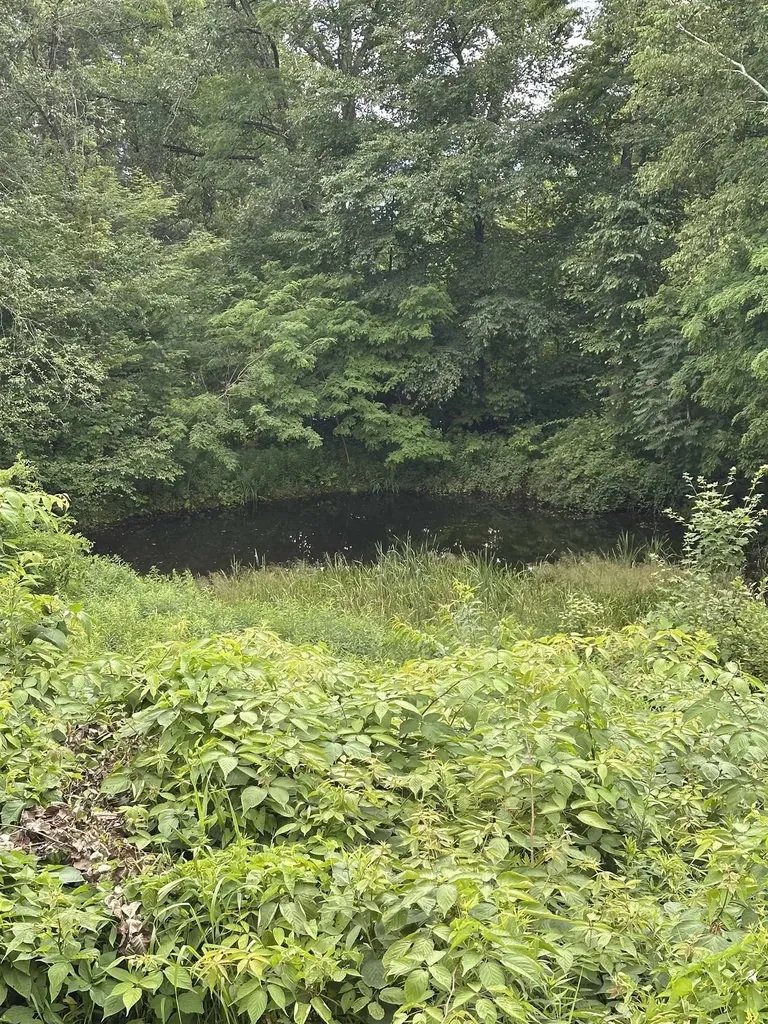 2114 Lilly Hill Road Danby VT 05739