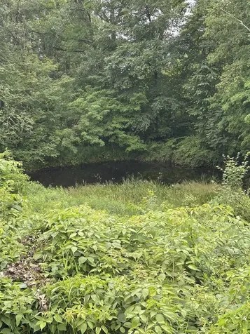 2114 Lilly Hill Road Danby VT 05739