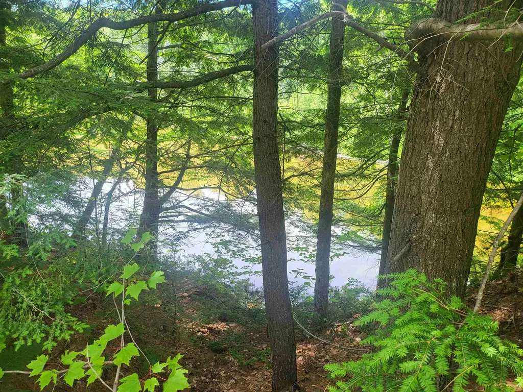 82 Pond Road Campton NH 03223