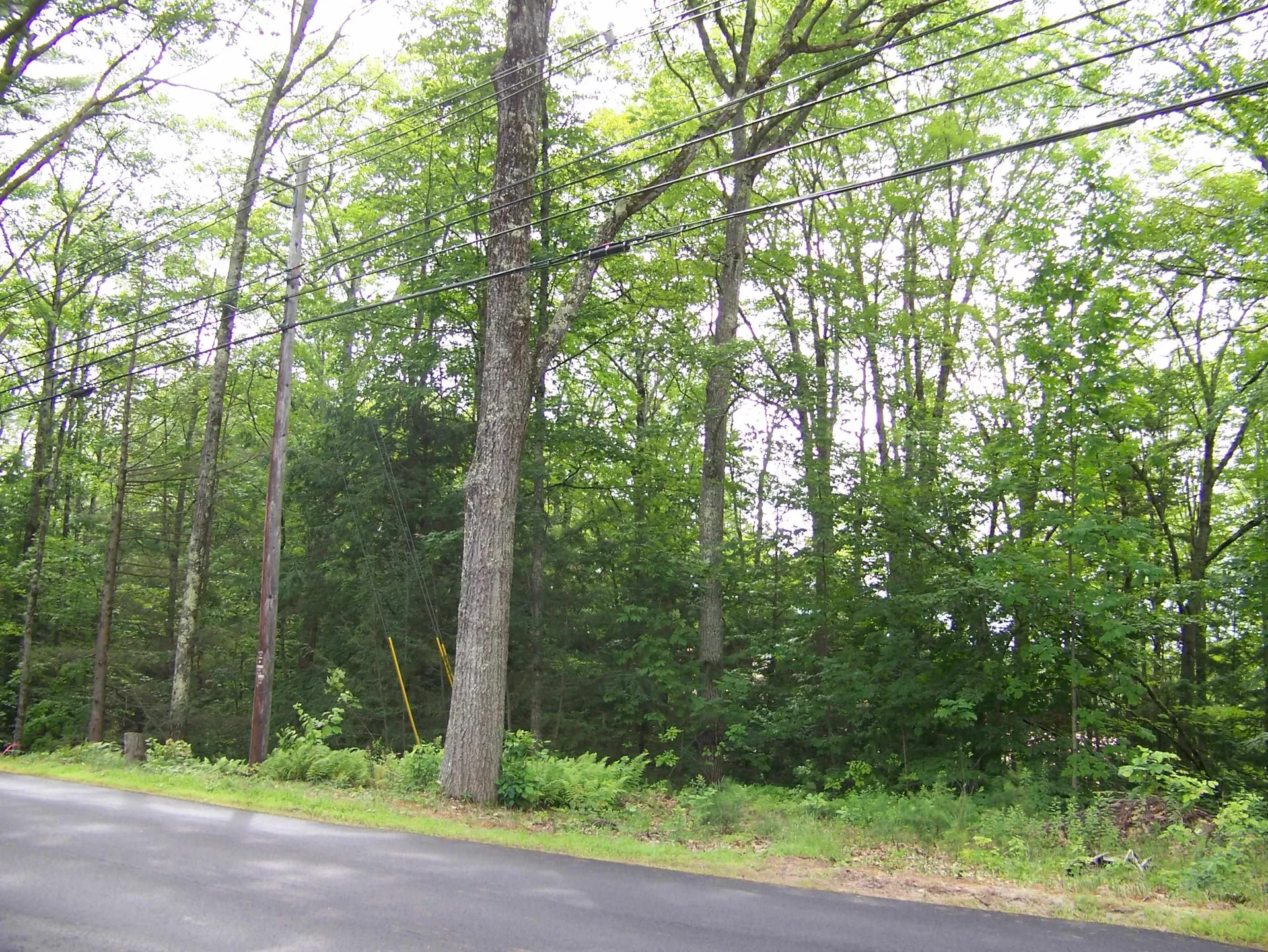 Ledge Hill Road Tuftonboro NH 03816