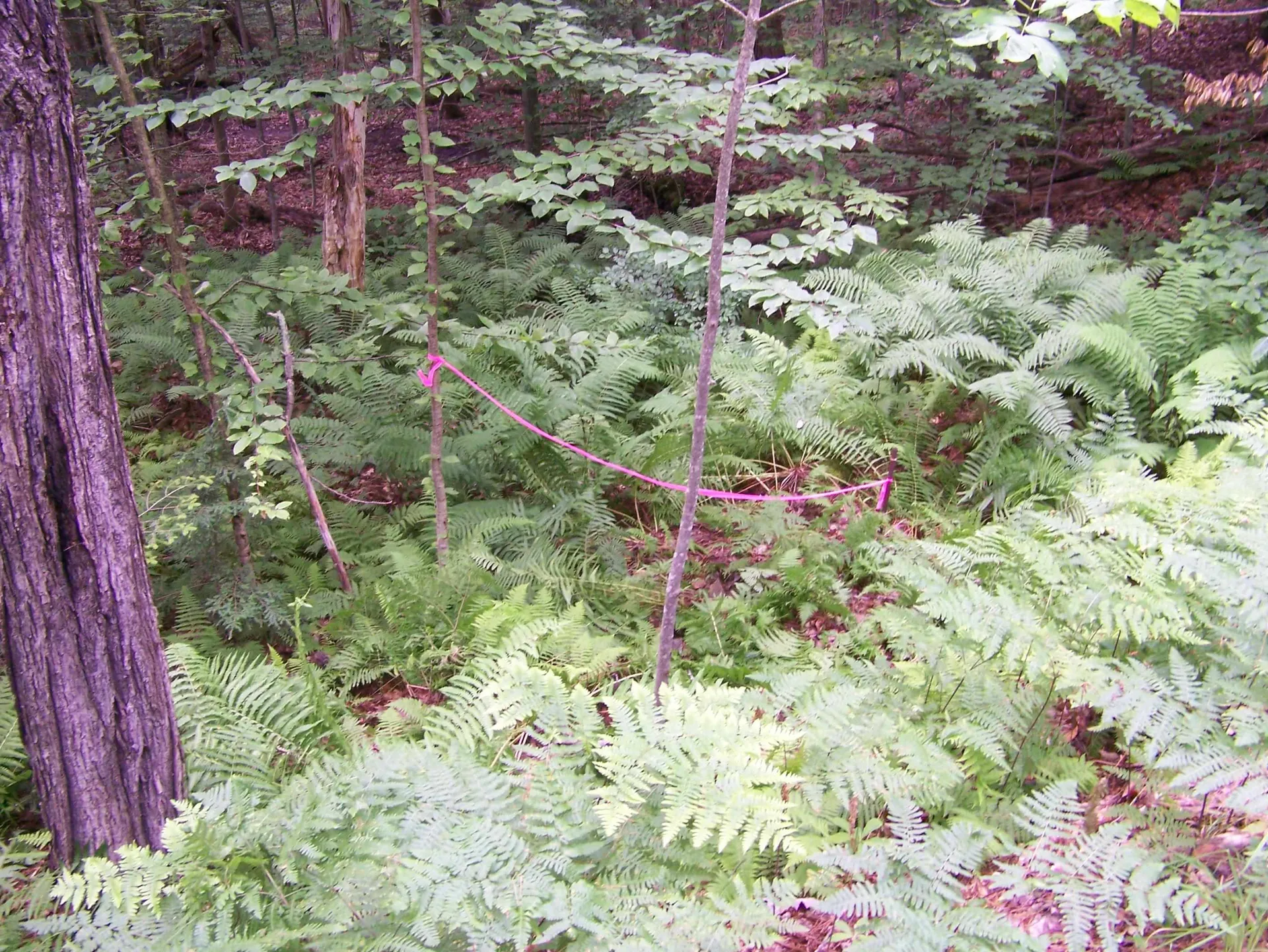 Ledge Hill Road Tuftonboro NH 03816