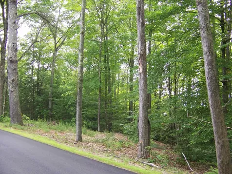 Ledge Hill Road Tuftonboro NH 03816