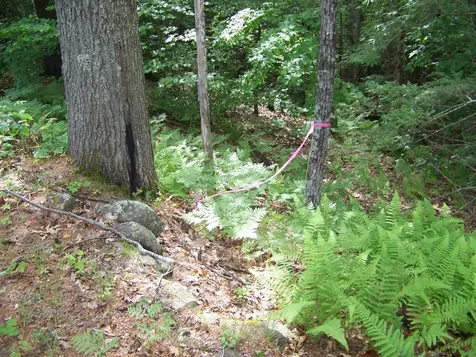 Ledge Hill Road Tuftonboro NH 03816