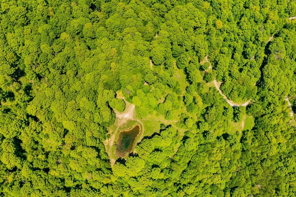 A Windsor Road Manchester VT 05255