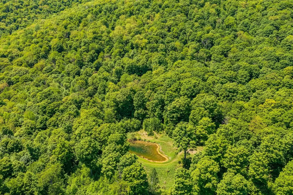 A Windsor Road Manchester VT 05255