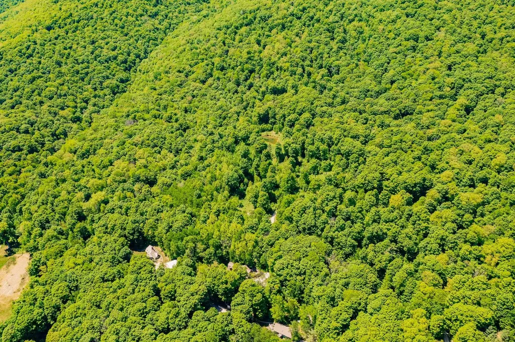 A Windsor Road Manchester VT 05255