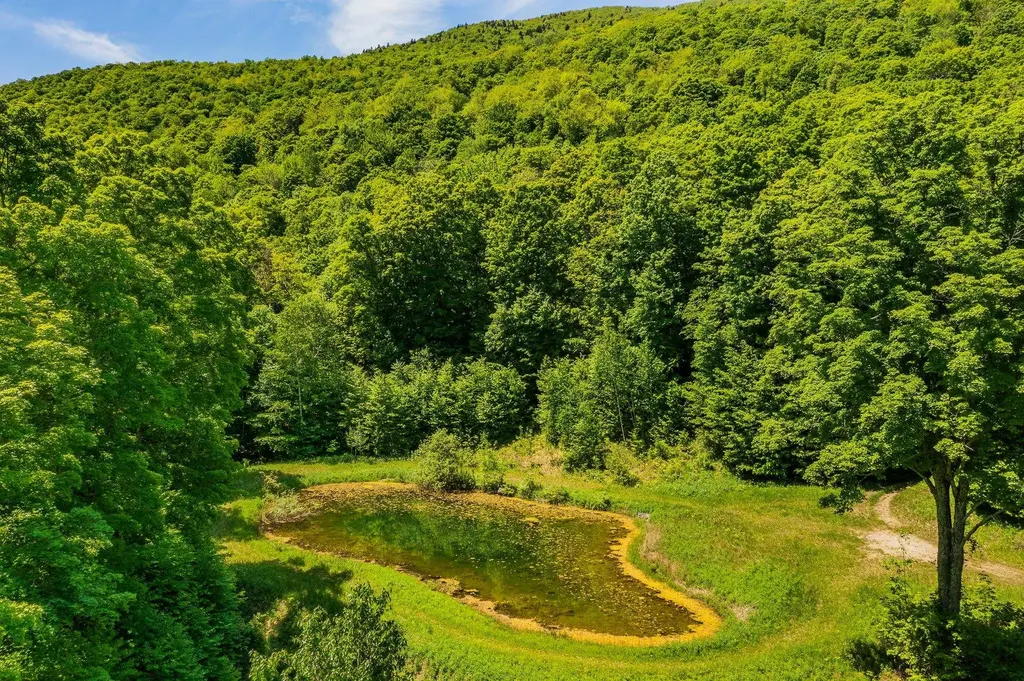 A Windsor Road Manchester VT 05255