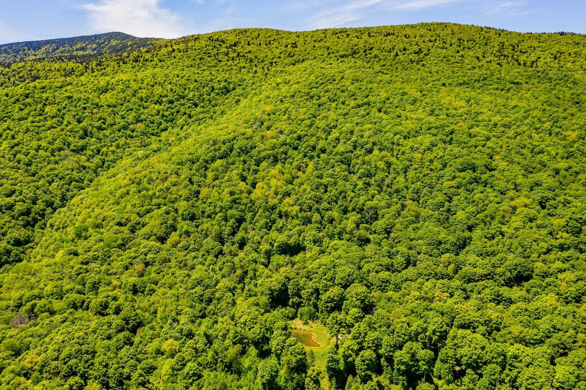 A Windsor Road Manchester VT 05255