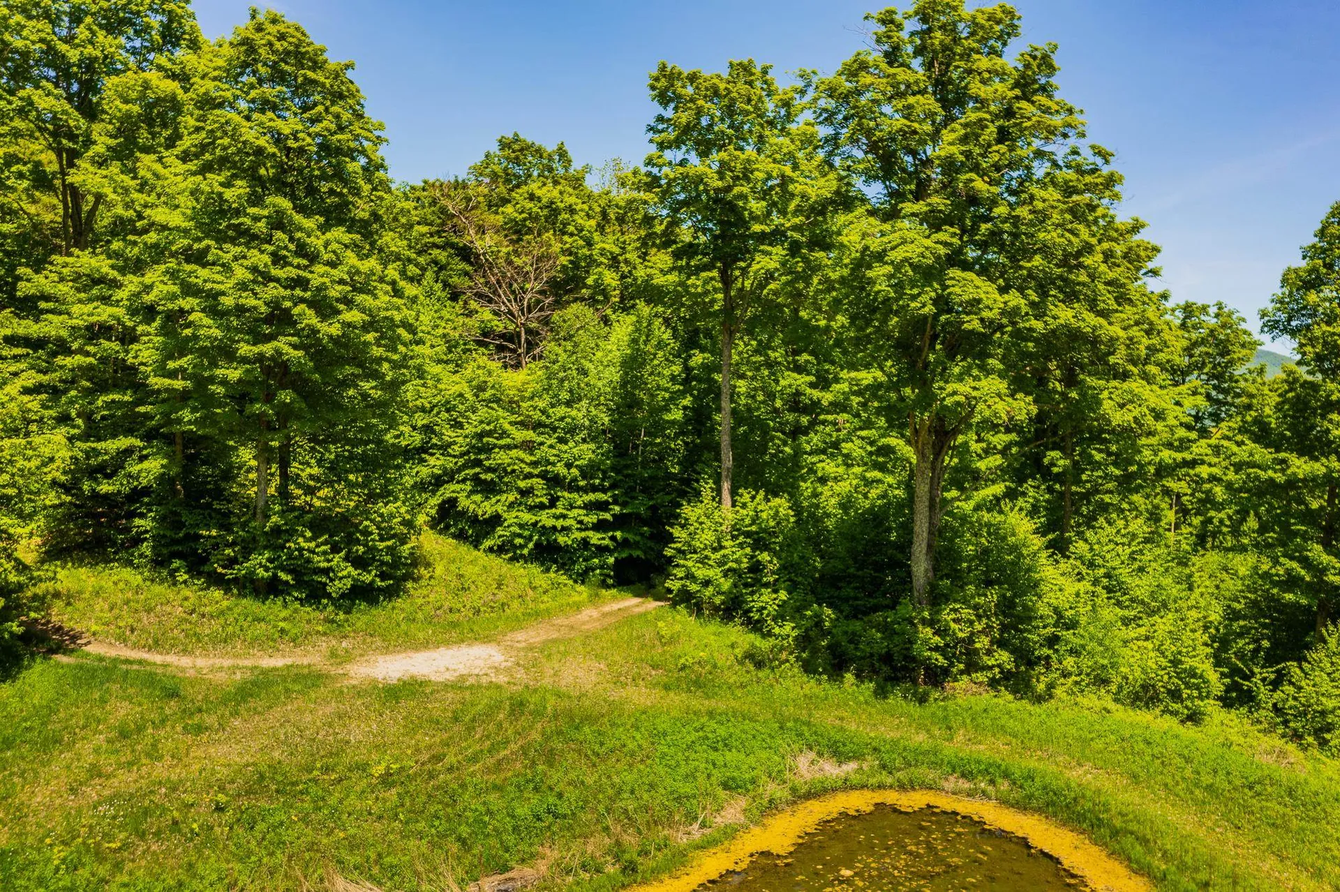 A Windsor Road Manchester VT 05255